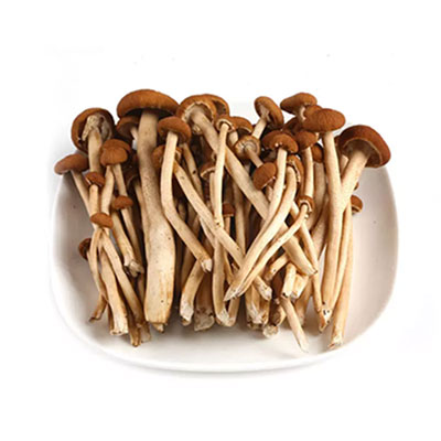 香蕉一级视频茶樹菇配送