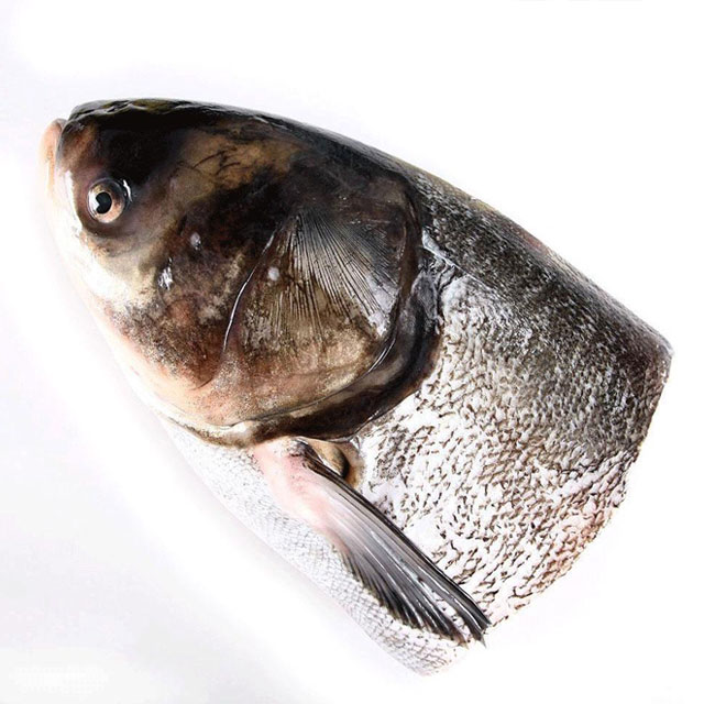 香蕉一级视频大頭魚頭